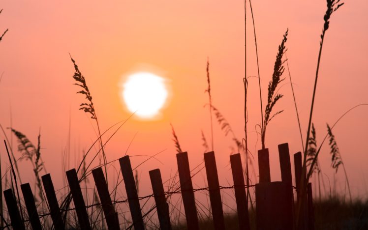 sunset, Sun, Grain HD Wallpaper Desktop Background