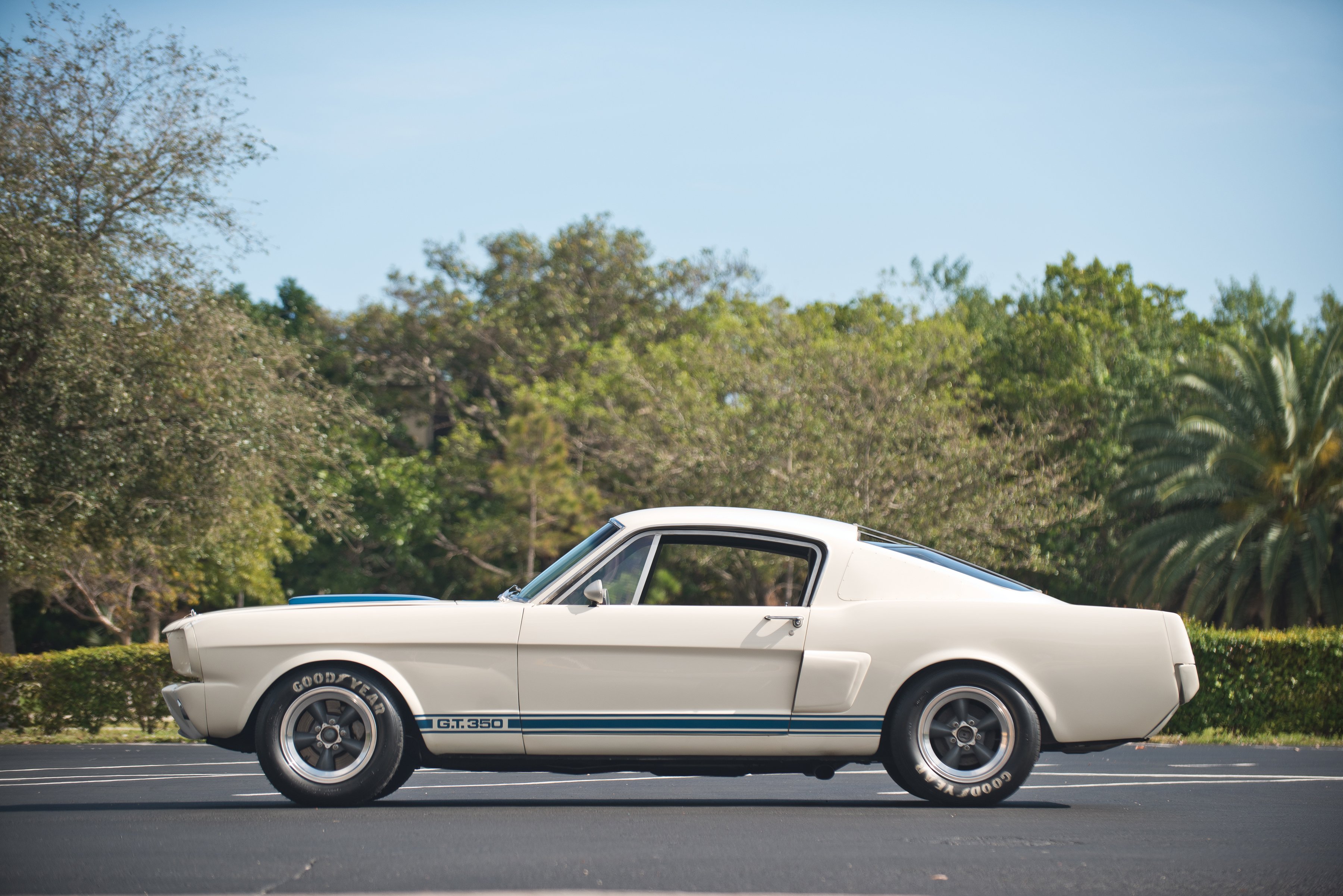 1966, Shelby, Gt350, Race, Racing, Muscle, Ford, Mustang, Classic, Rally Wallpaper