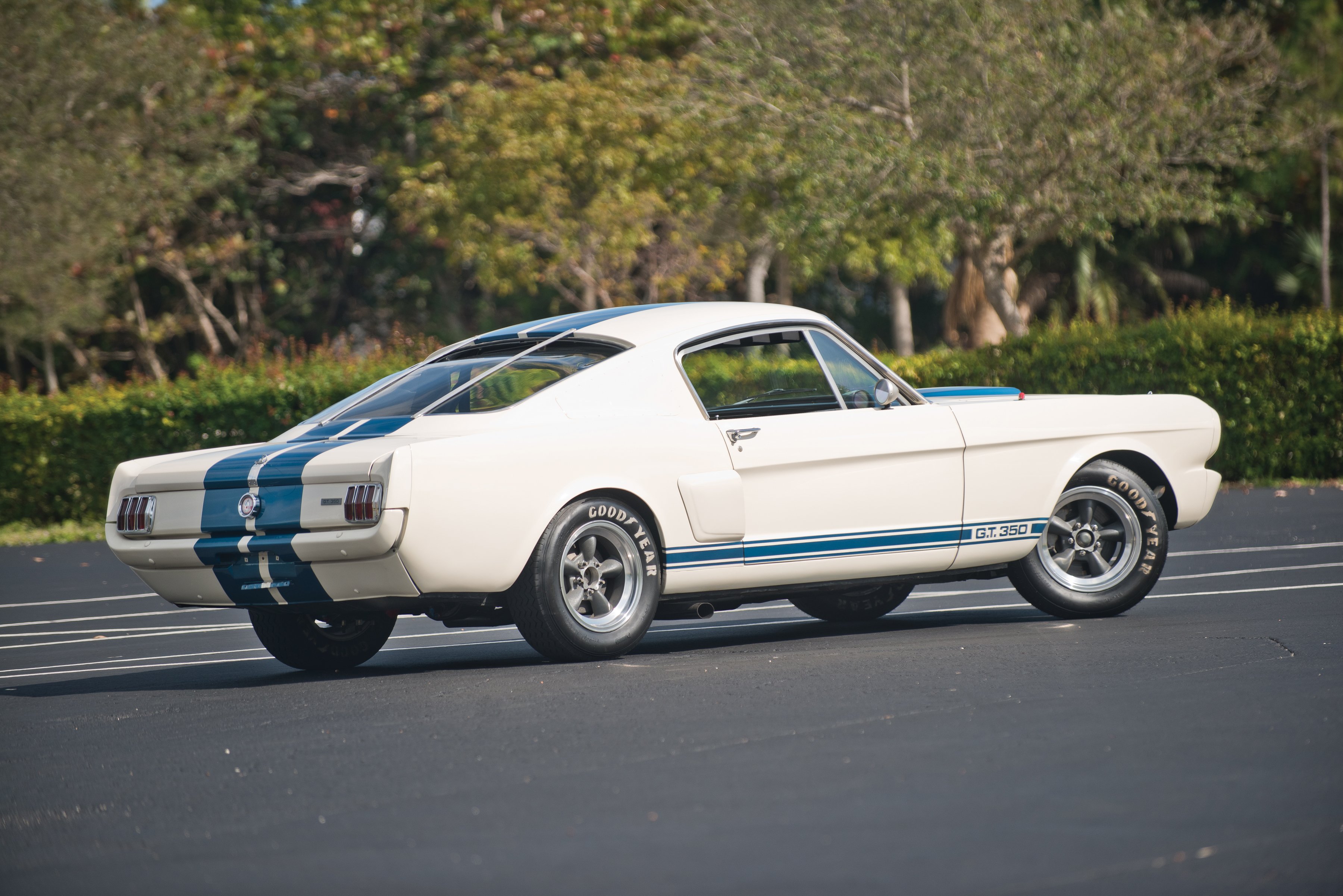 1966, Shelby, Gt350, Race, Racing, Muscle, Ford, Mustang, Classic, Rally Wallpaper