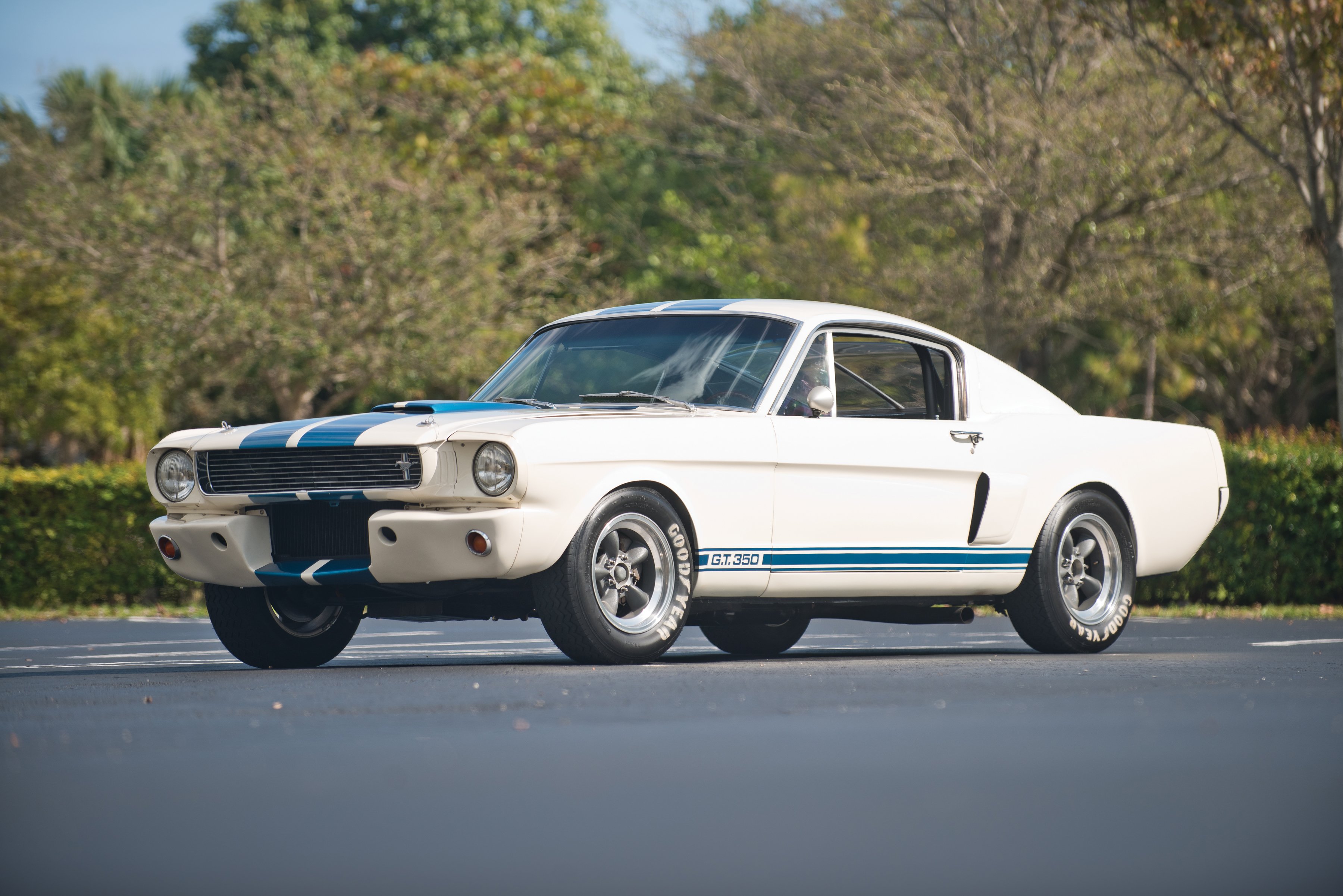 1966 Shelby Gt350 Race Racing Muscle Ford Mustang Classic