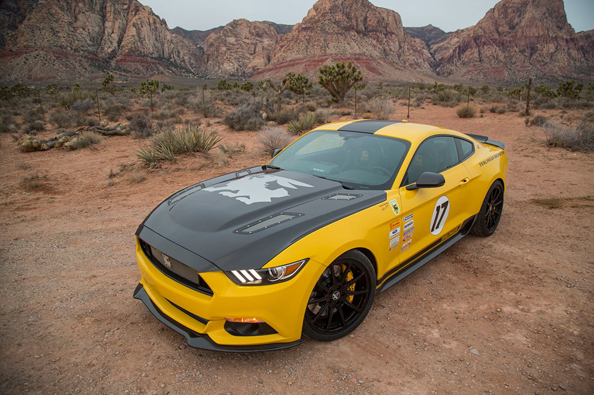2016, 670hp, Shelby, Gt, Muscle, Race, Racing, Ford, Mustang, G t, Rally Wallpaper