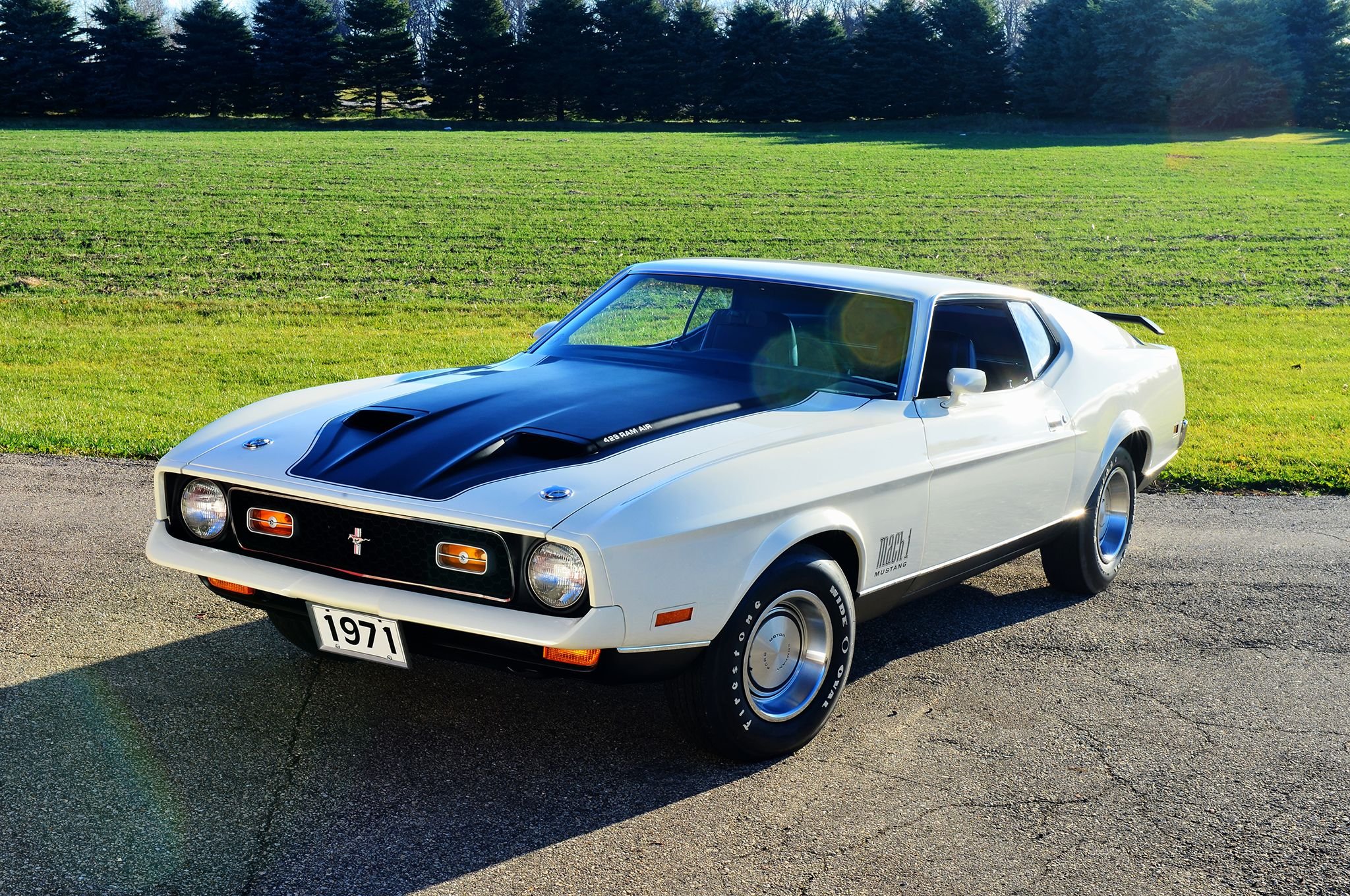 1971, Ford, Mustang, 429, Super, Cobra, Jet, Mach 1, Muscle, Classic ...