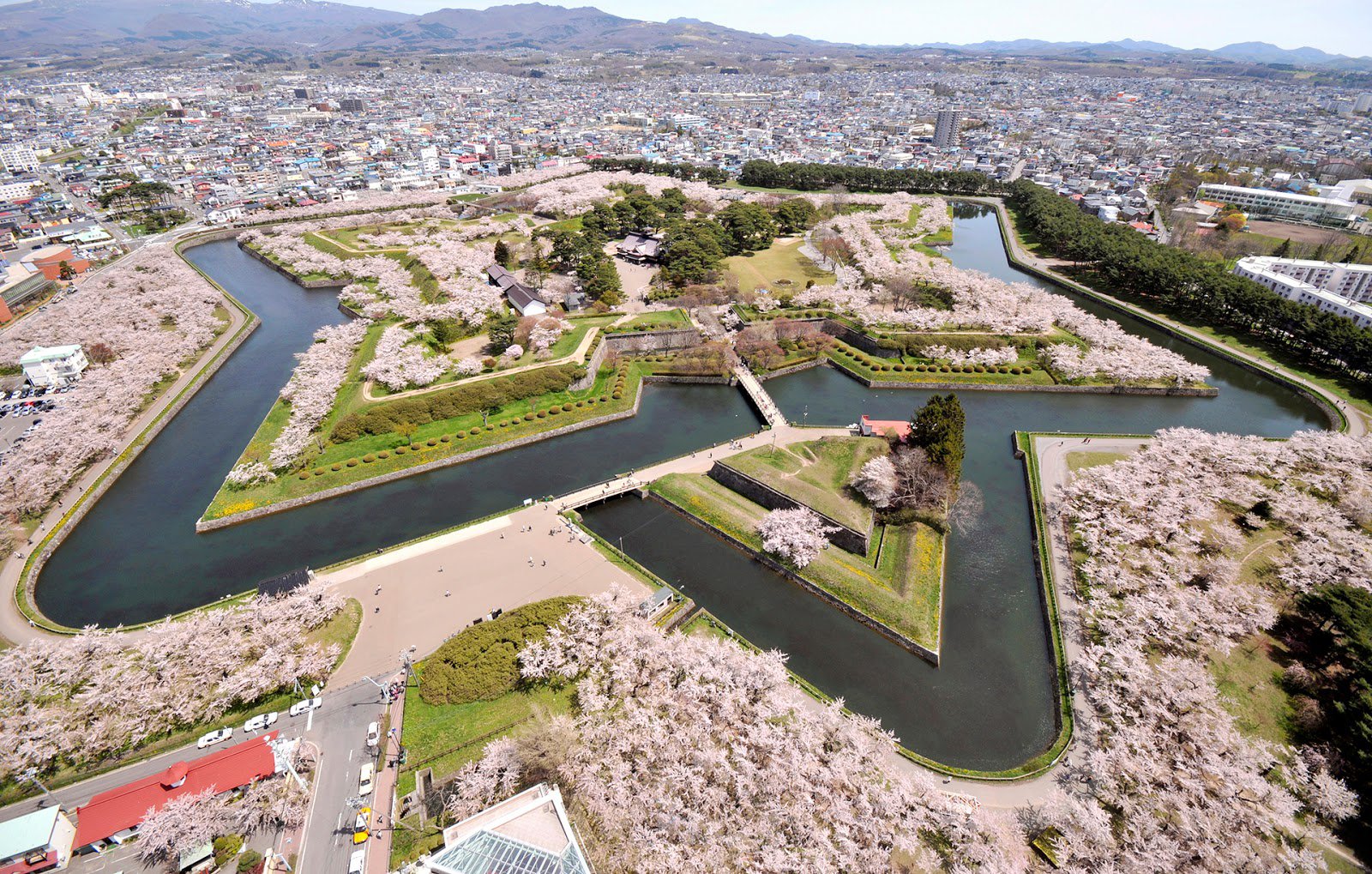 goryokaku, Sakura, Spring, Flower, Tree, Nature, City Wallpaper