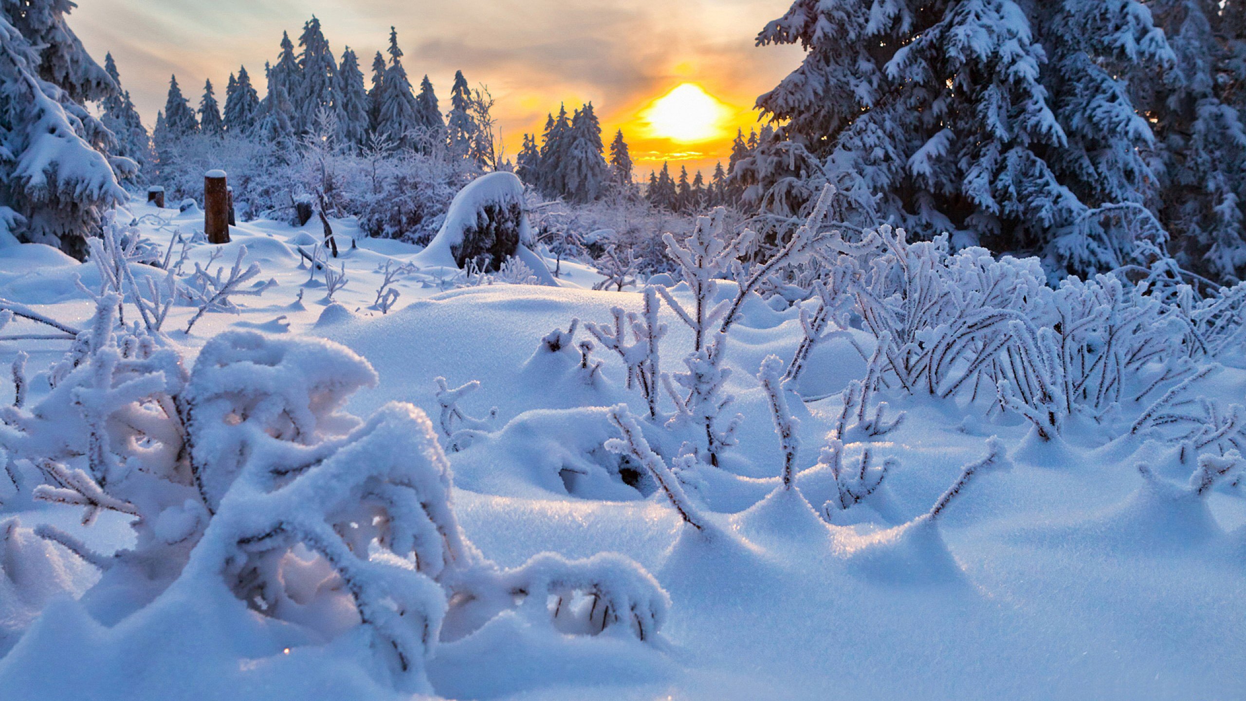 winter, Snow, Nature, Landscape Wallpaper