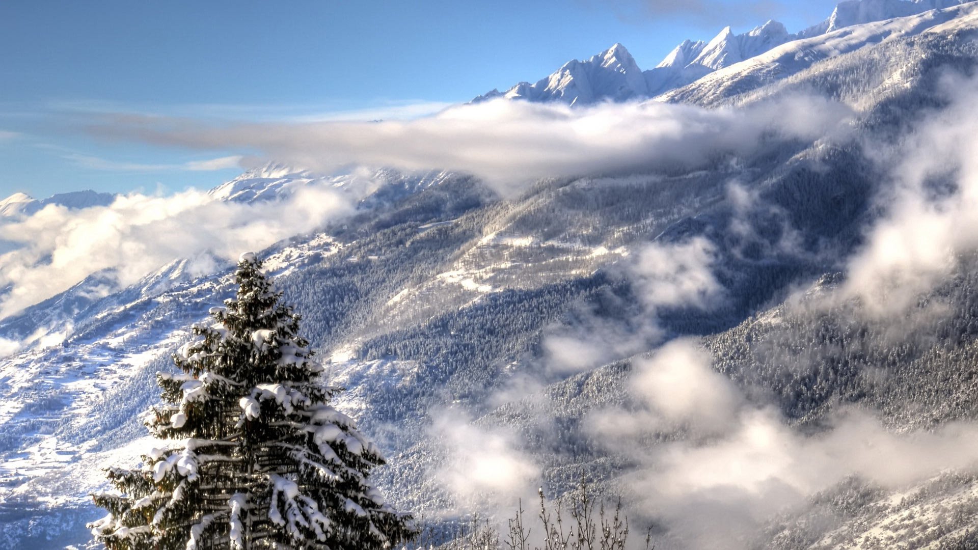 winter, Snow, Nature, Landscape Wallpaper
