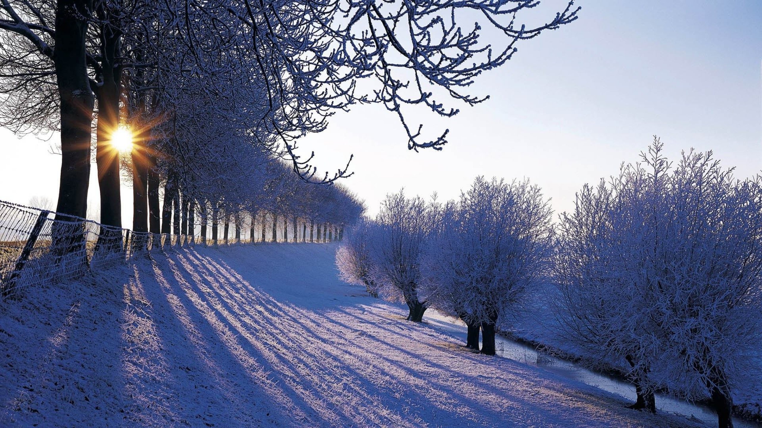 winter, Snow, Nature, Landscape Wallpaper