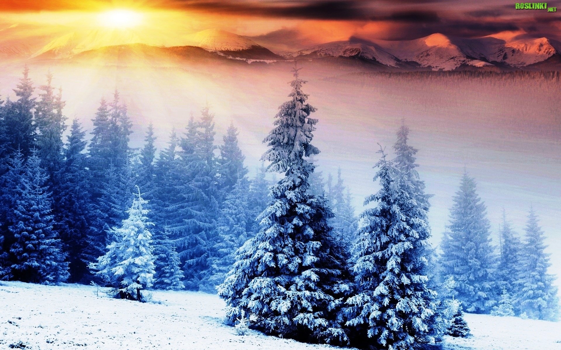 winter, Snow, Nature, Landscape Wallpaper