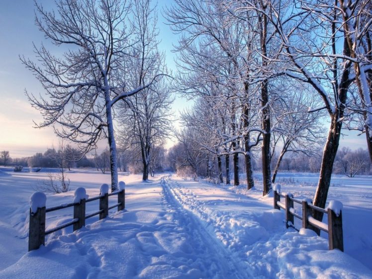 winter, Snow, Nature, Landscape HD Wallpaper Desktop Background