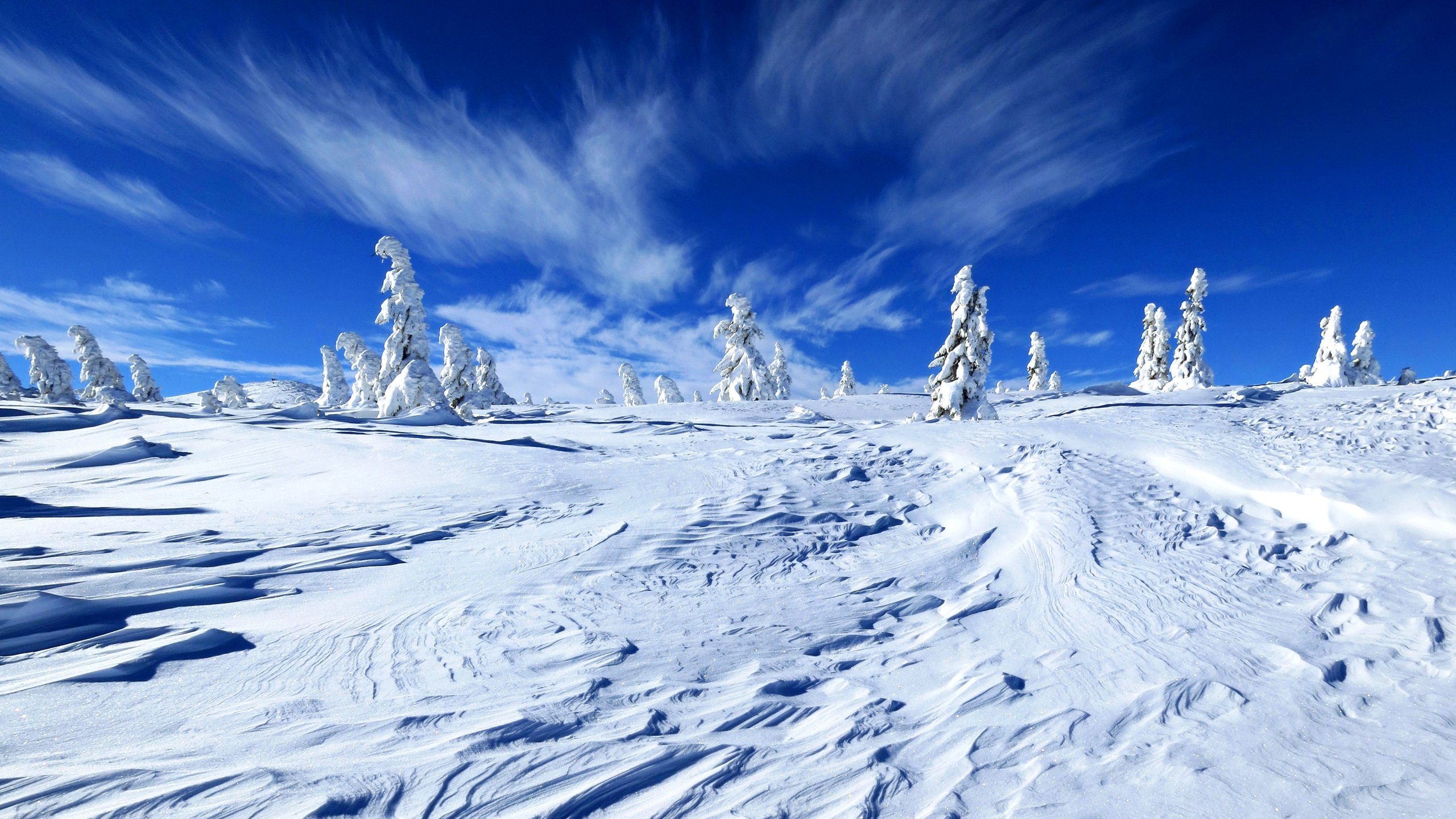 winter, Snow, Nature, Landscape Wallpaper