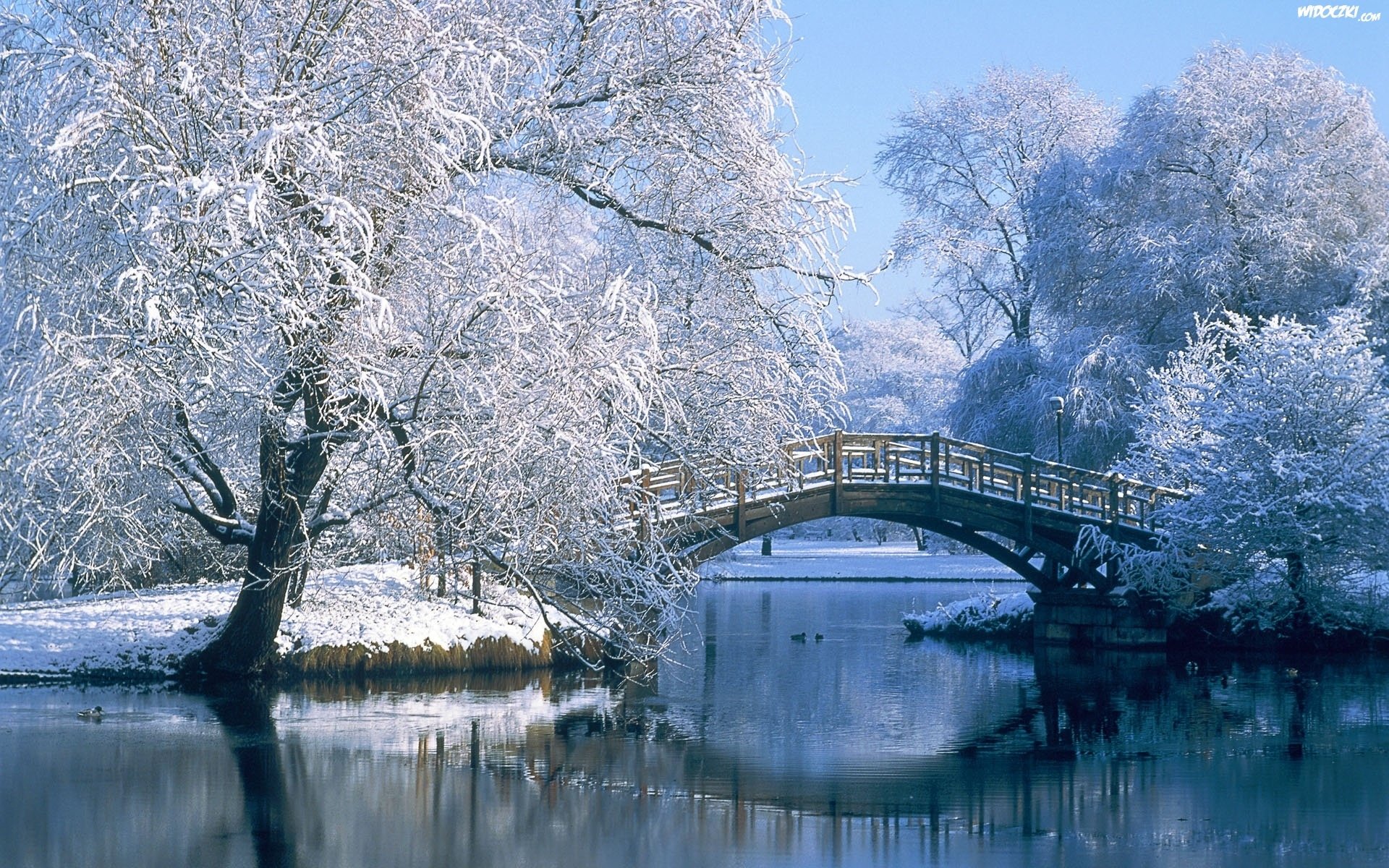 winter, Snow, Nature, Landscape Wallpaper