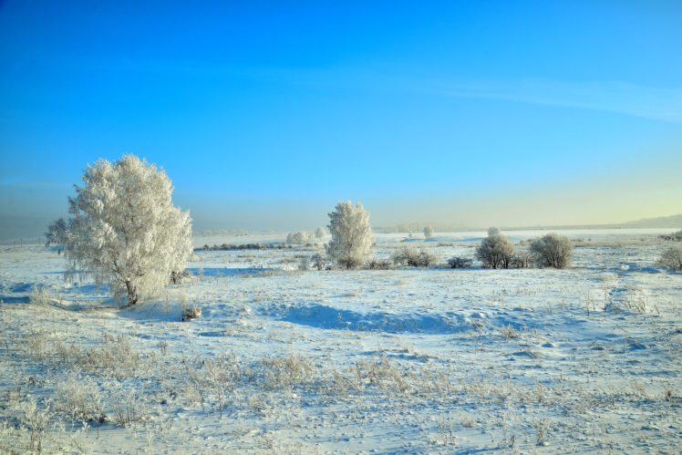 winter, Snow, Nature, Landscape HD Wallpaper Desktop Background