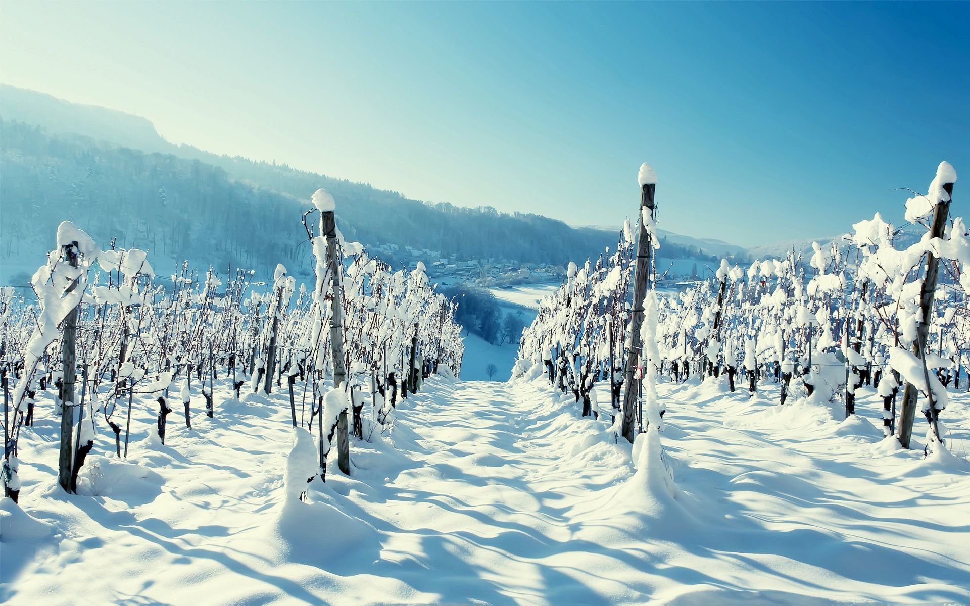 winter, Snow, Nature, Landscape Wallpaper