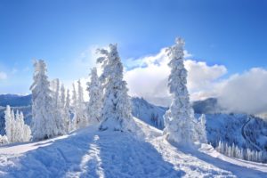 winter, Snow, Nature, Landscape