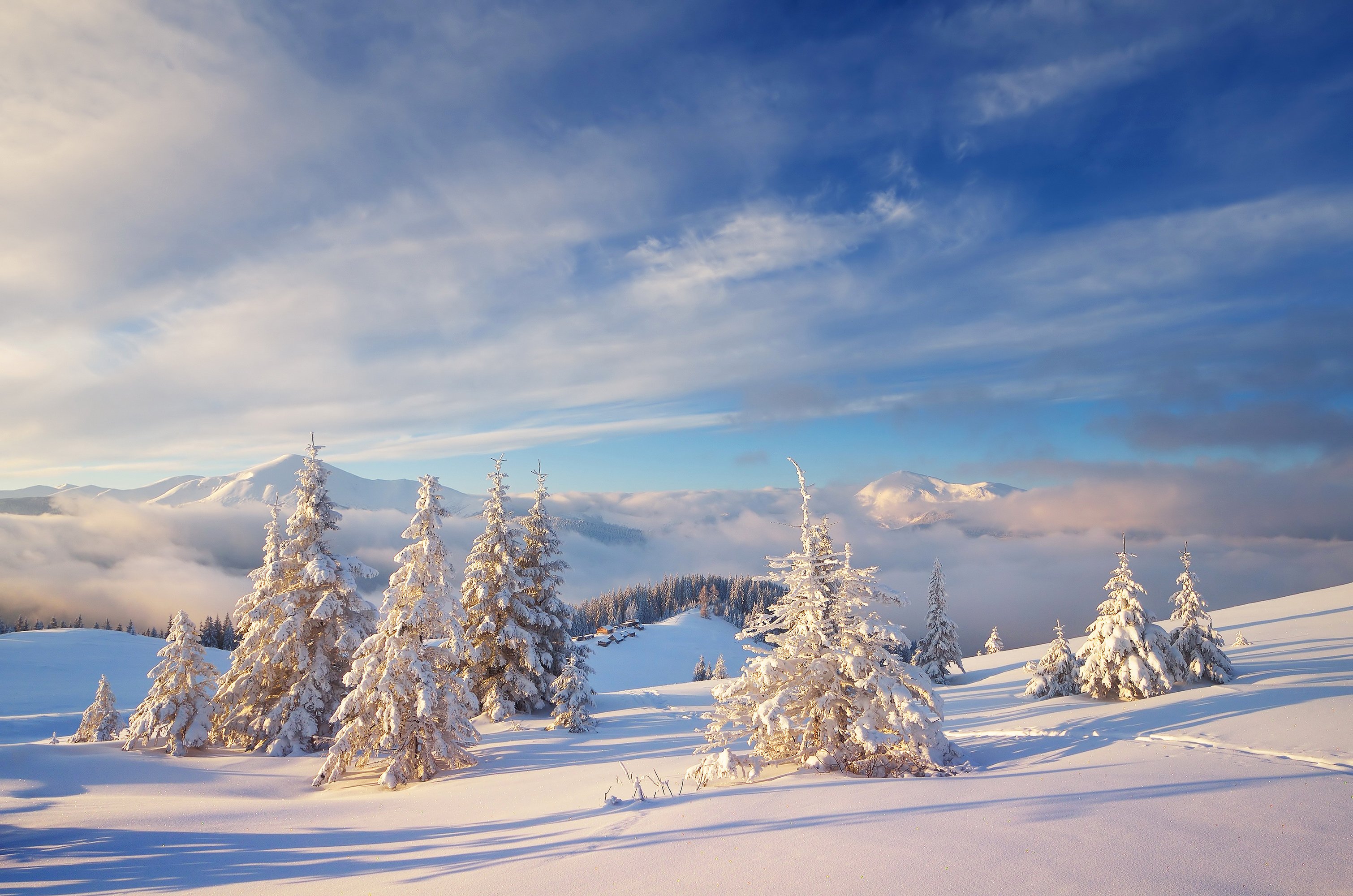 winter, Snow, Nature, Landscape Wallpaper