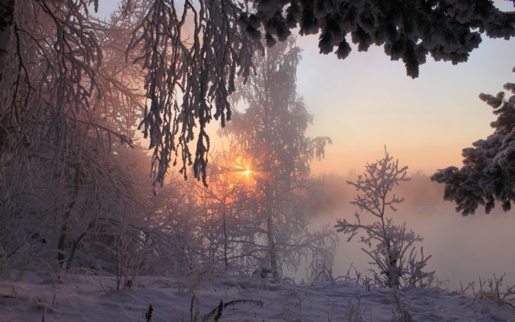 winter, Snow, Nature, Landscape HD Wallpaper Desktop Background