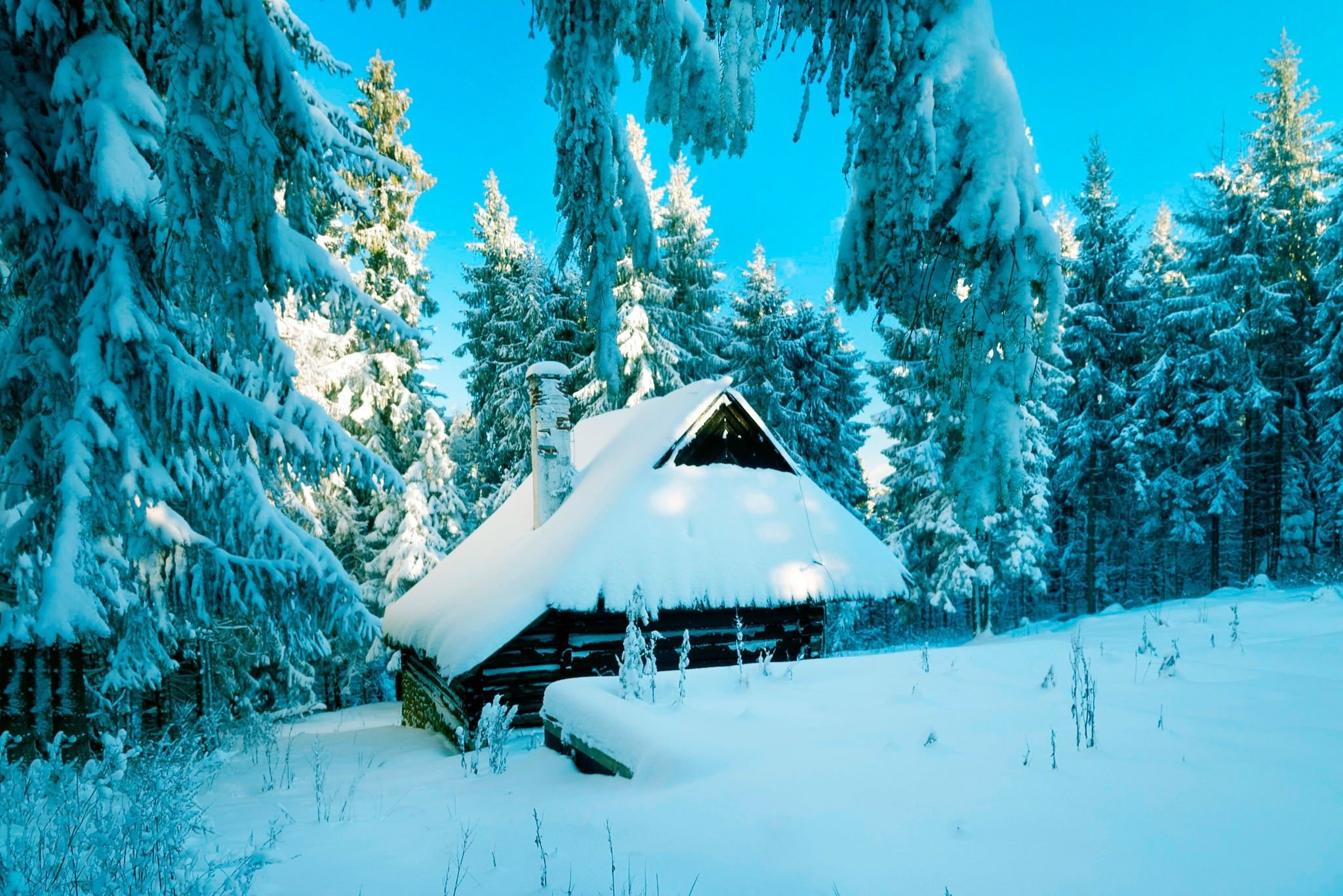 winter, Snow, Nature, Landscape Wallpaper