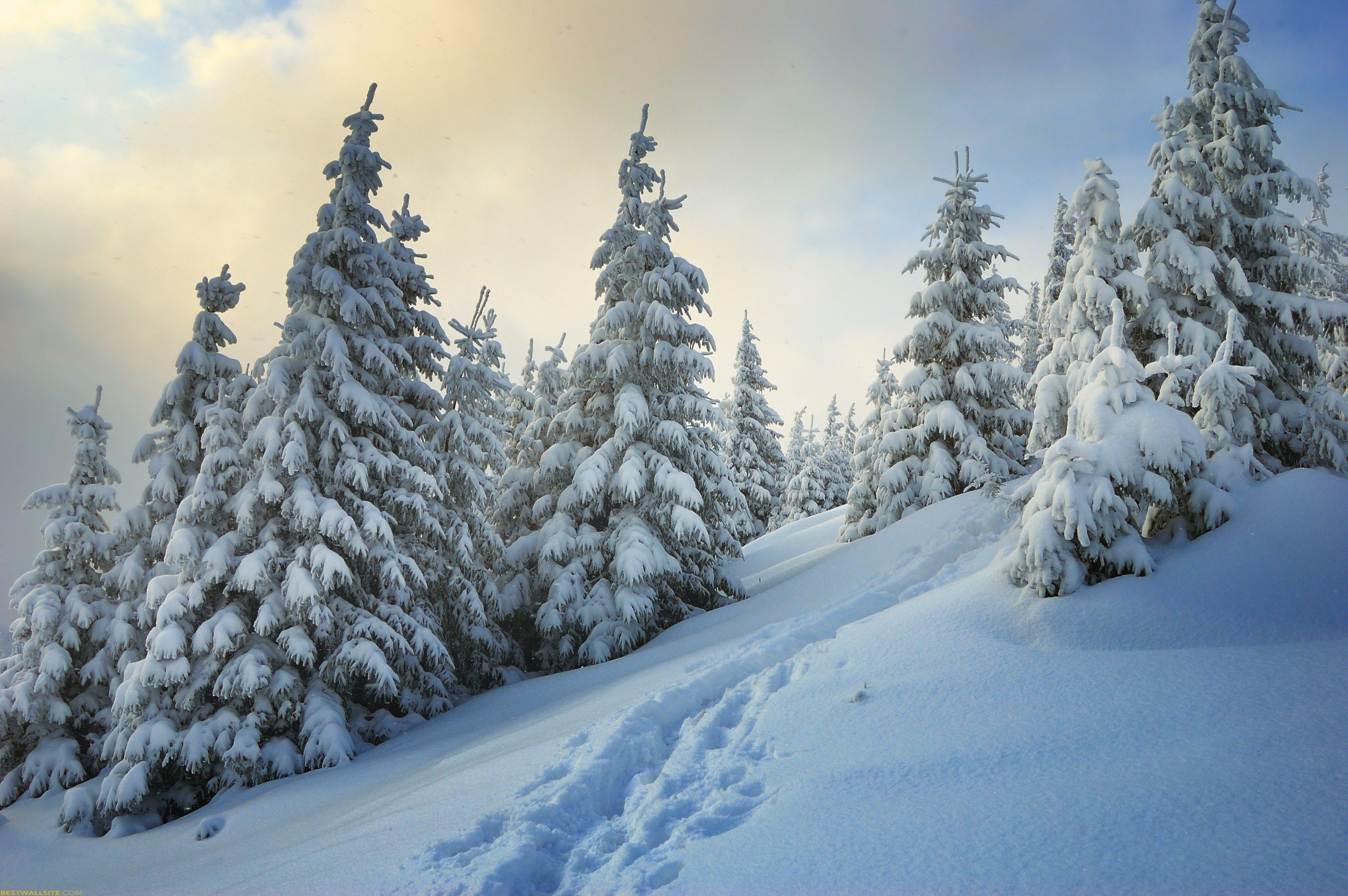 winter, Snow, Nature, Landscape Wallpapers HD / Desktop and Mobile ...