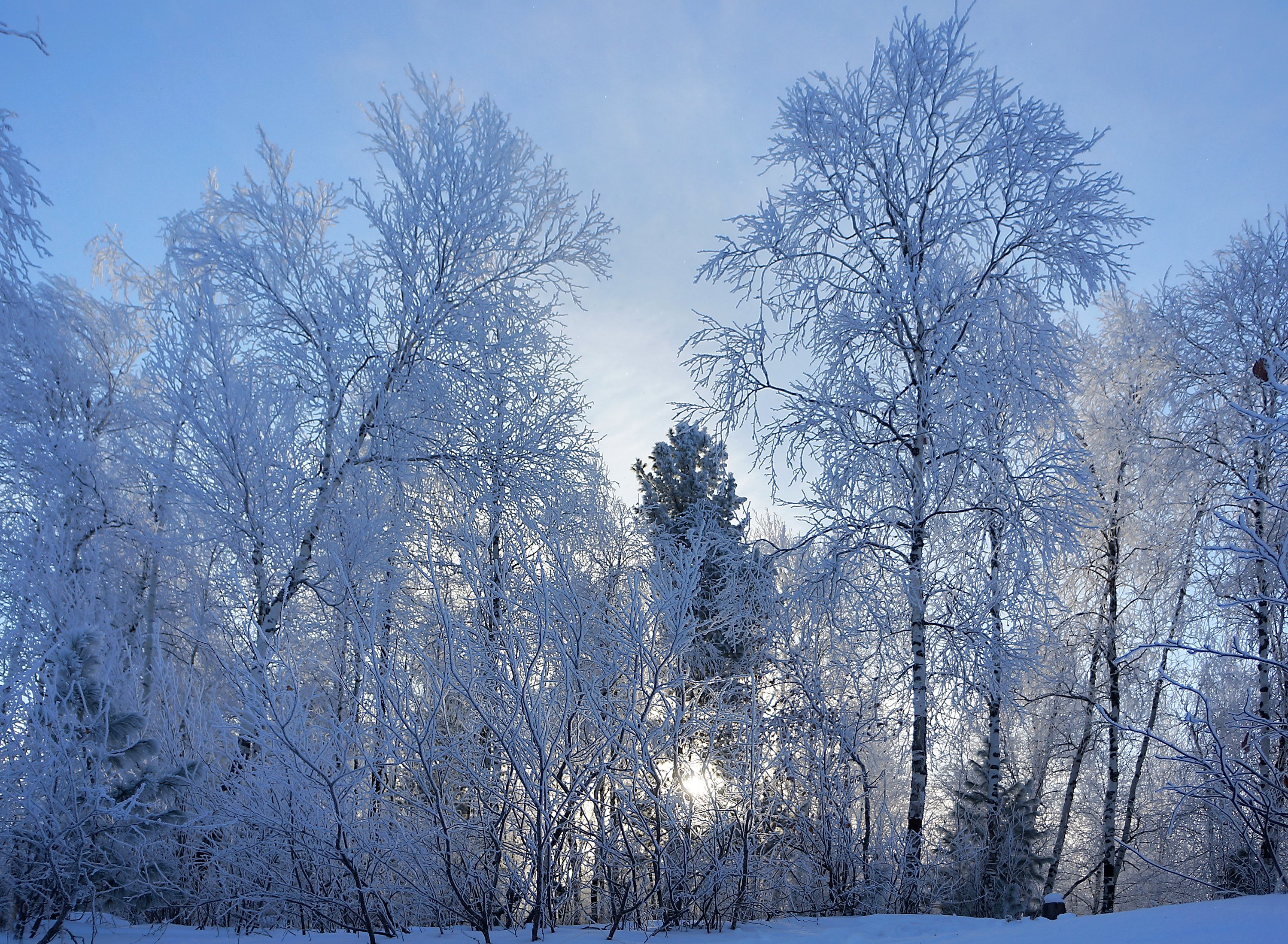 winter, Snow, Nature, Landscape Wallpaper