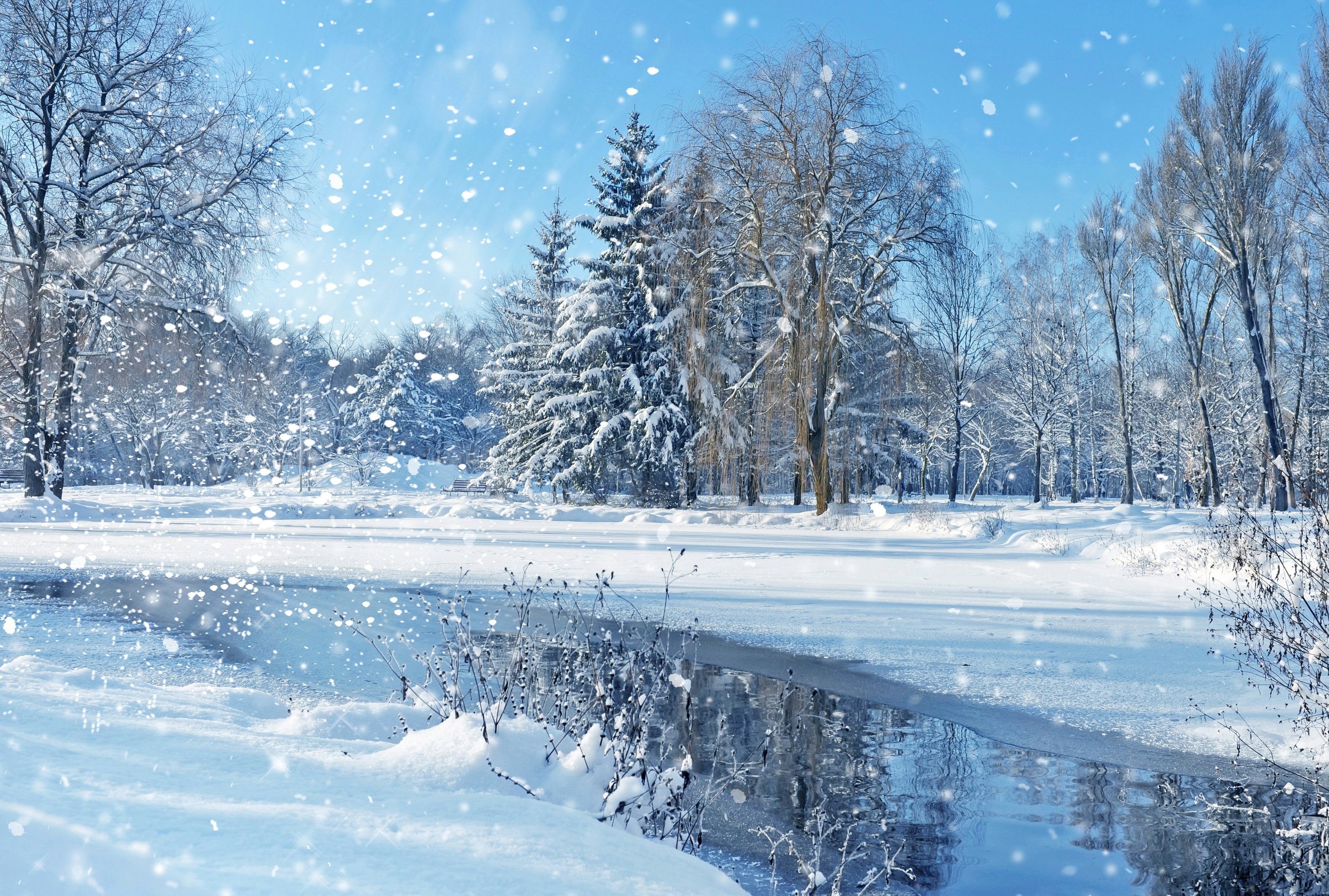 winter, Snow, Nature, Landscape Wallpaper