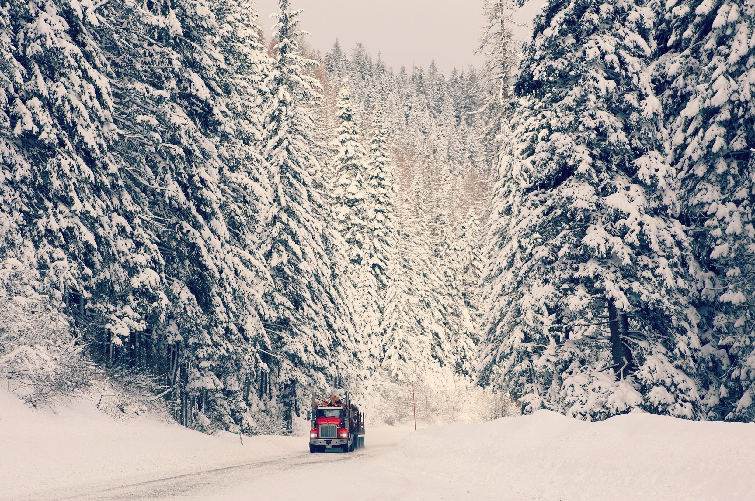 winter, Snow, Nature, Landscape Wallpapers HD / Desktop and Mobile