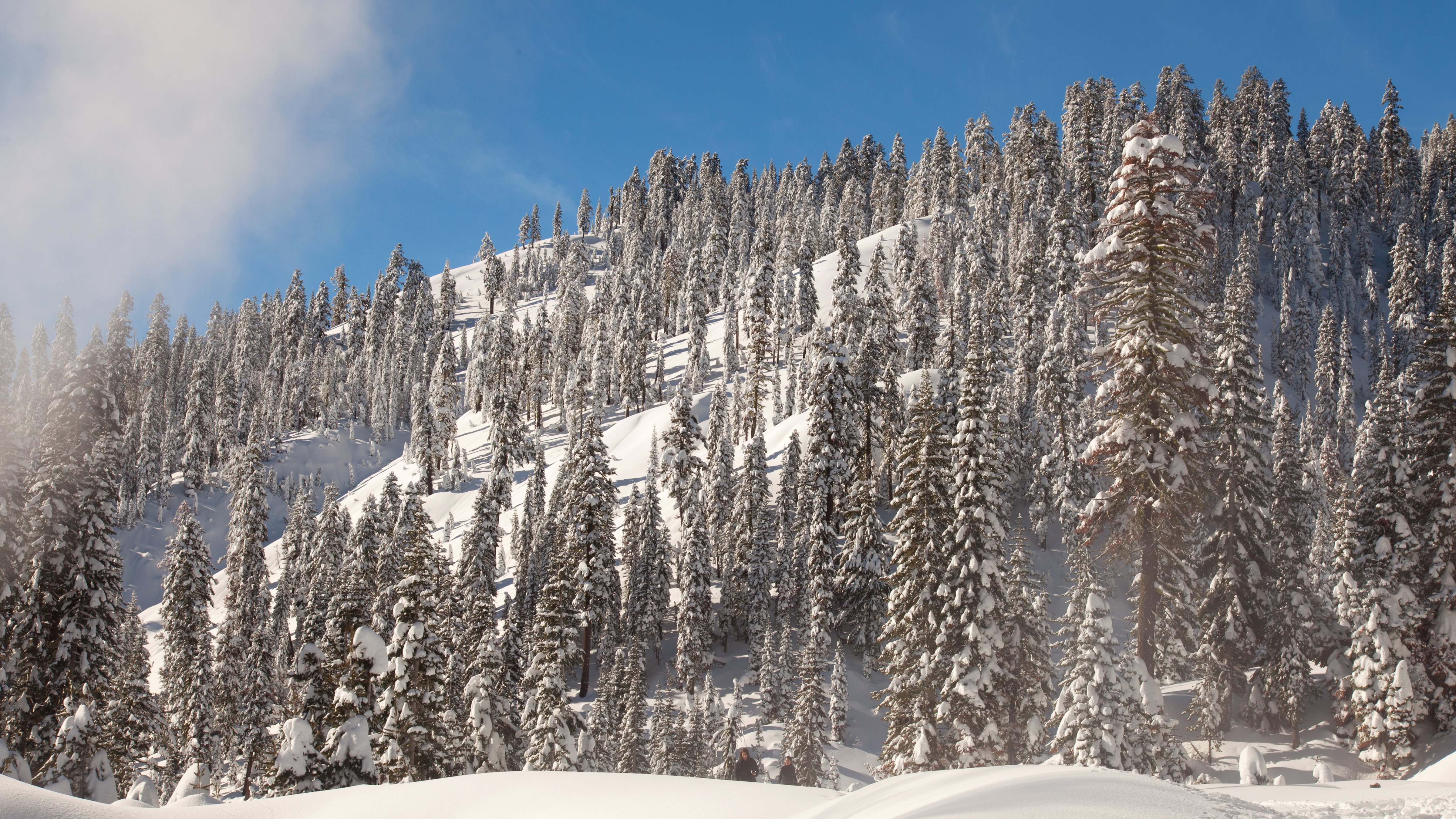 winter, Snow, Nature, Landscape Wallpaper