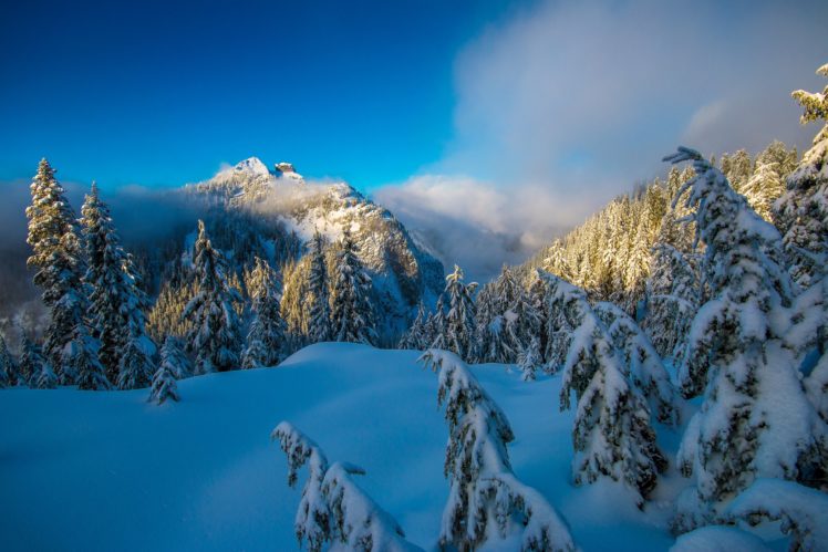 winter, Snow, Nature, Landscape HD Wallpaper Desktop Background