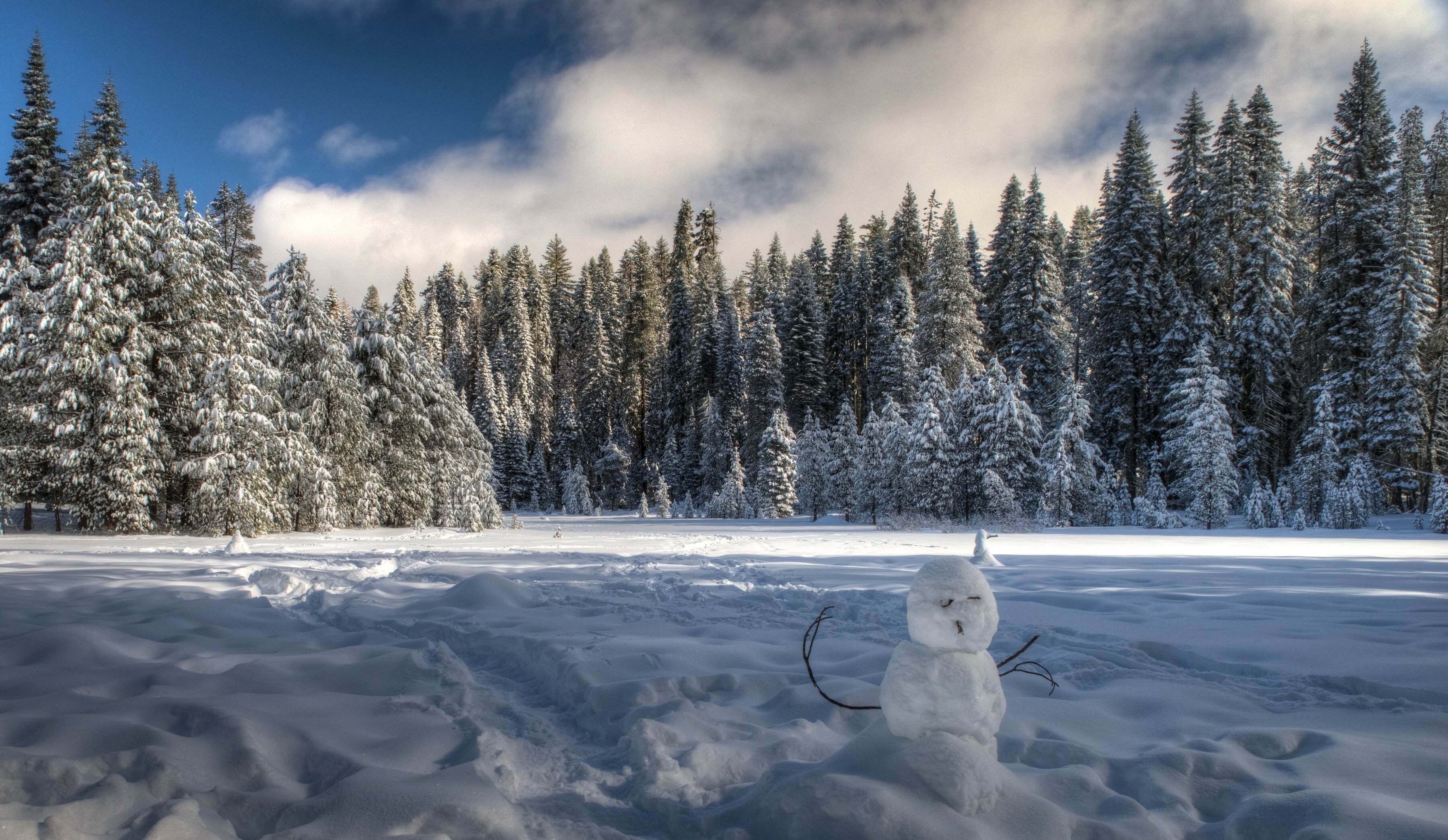 winter, Snow, Nature, Landscape Wallpaper