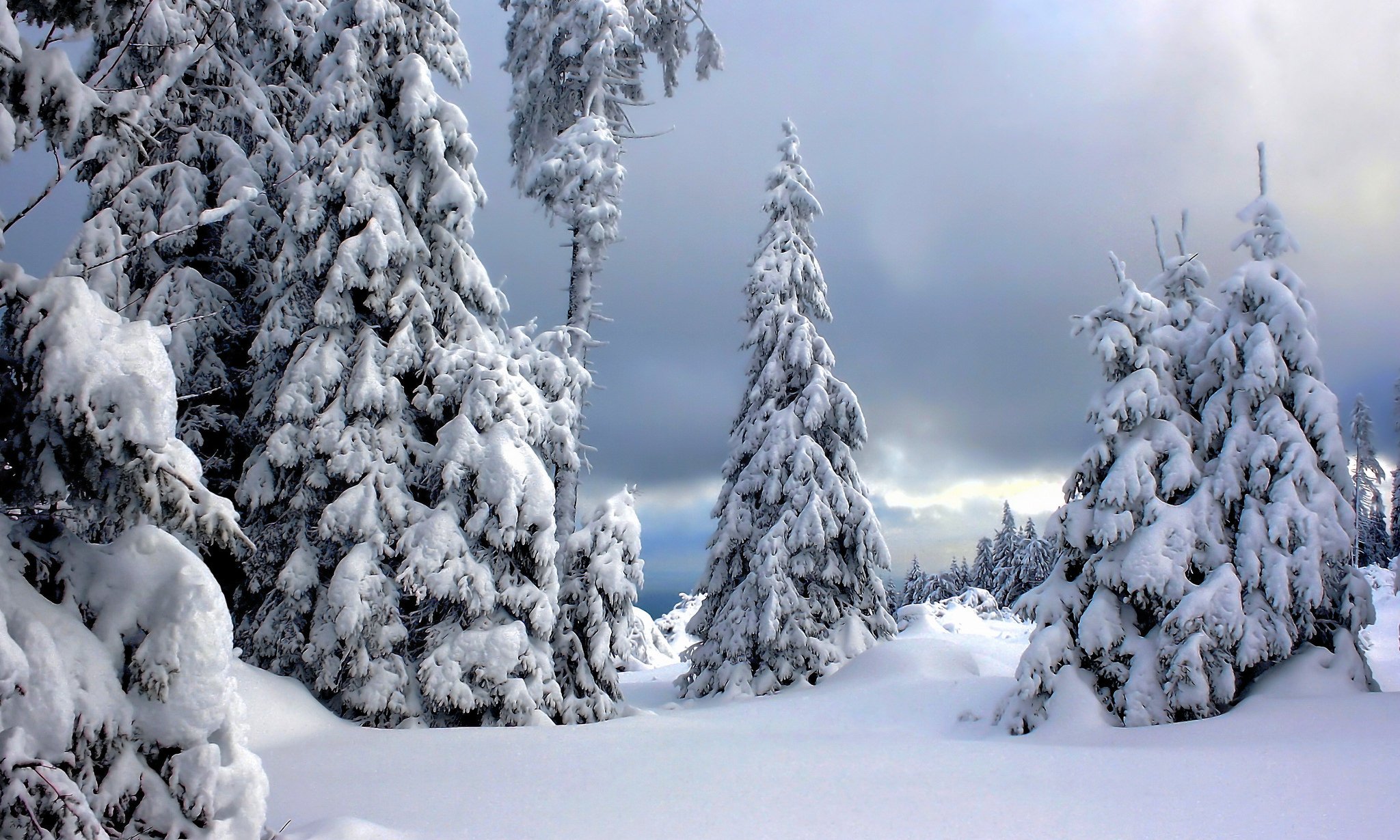 winter, Snow, Nature, Landscape Wallpapers HD / Desktop and Mobile ...