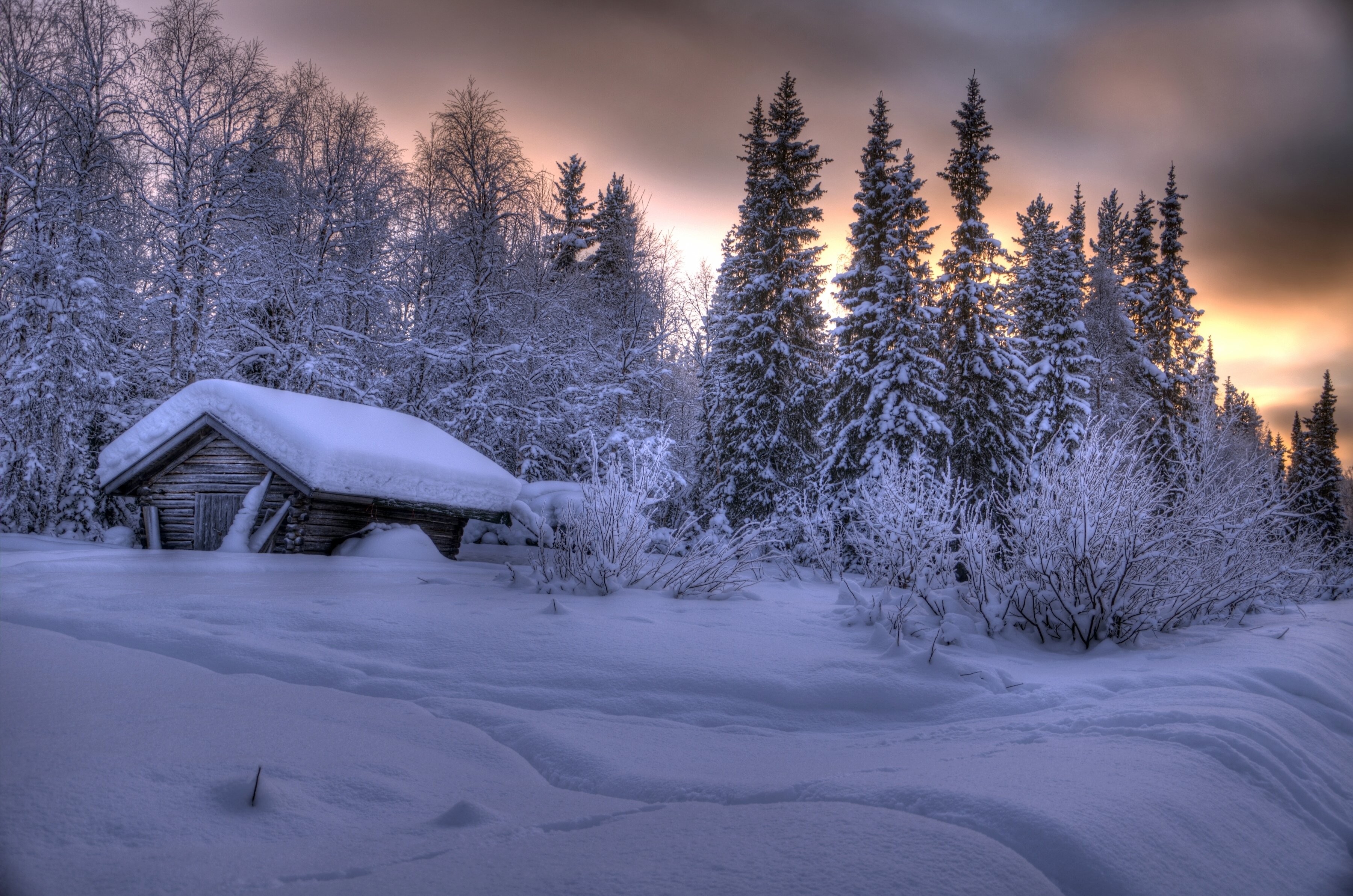 winter, Snow, Nature, Landscape Wallpaper