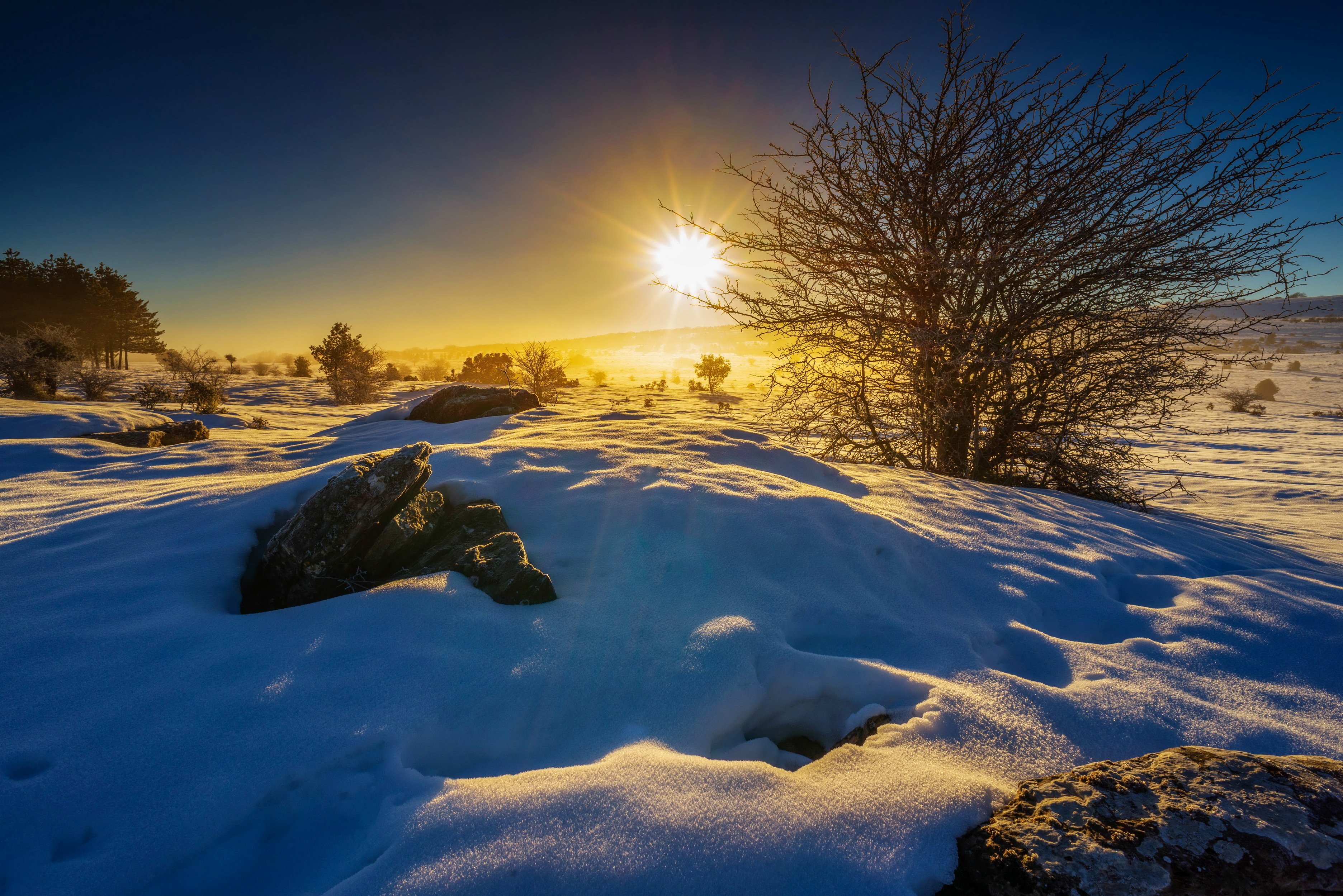 winter, Snow, Nature, Landscape Wallpaper