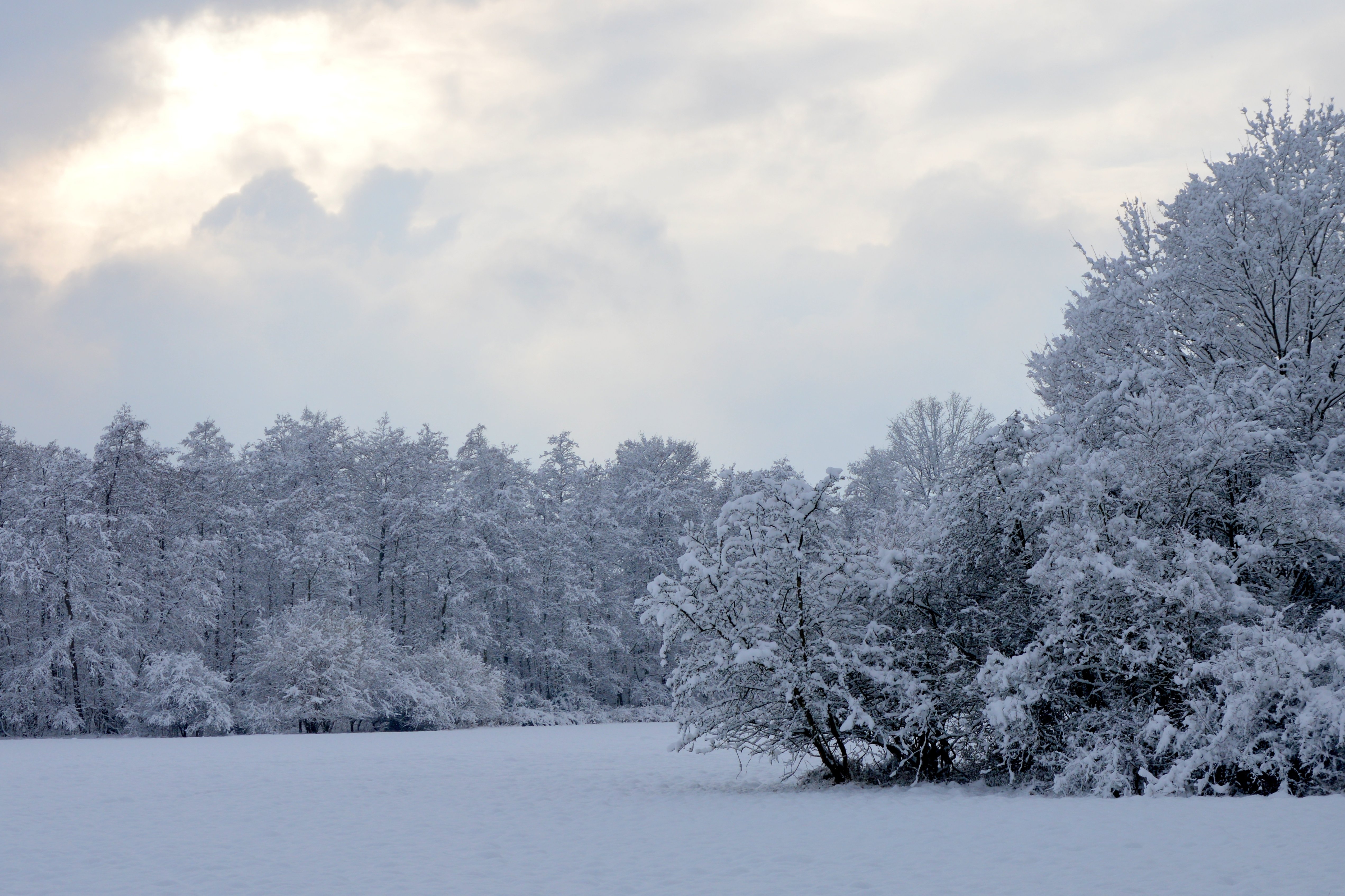 winter, Snow, Nature, Landscape Wallpaper