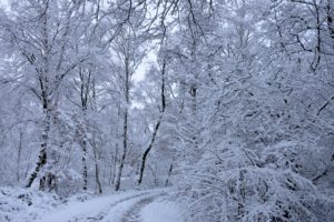 winter, Snow, Nature, Landscape