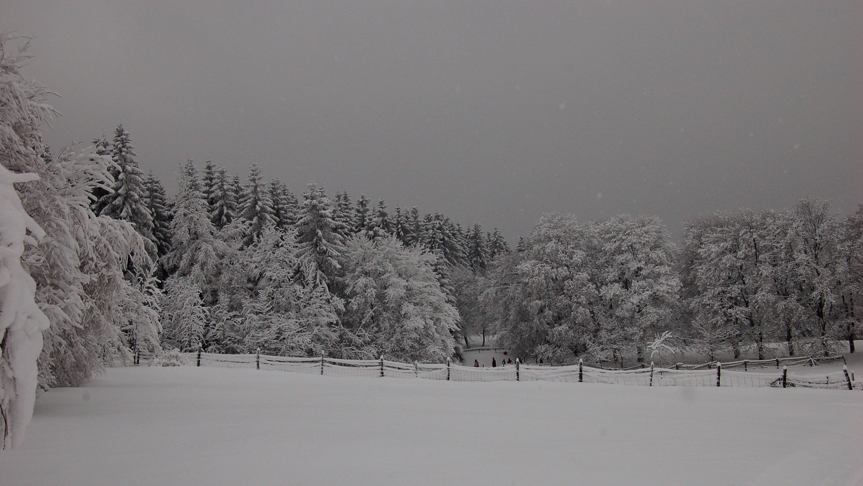 winter, Snow, Nature, Landscape Wallpaper