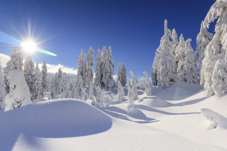 winter, Snow, Nature, Landscape HD Wallpaper Desktop Background