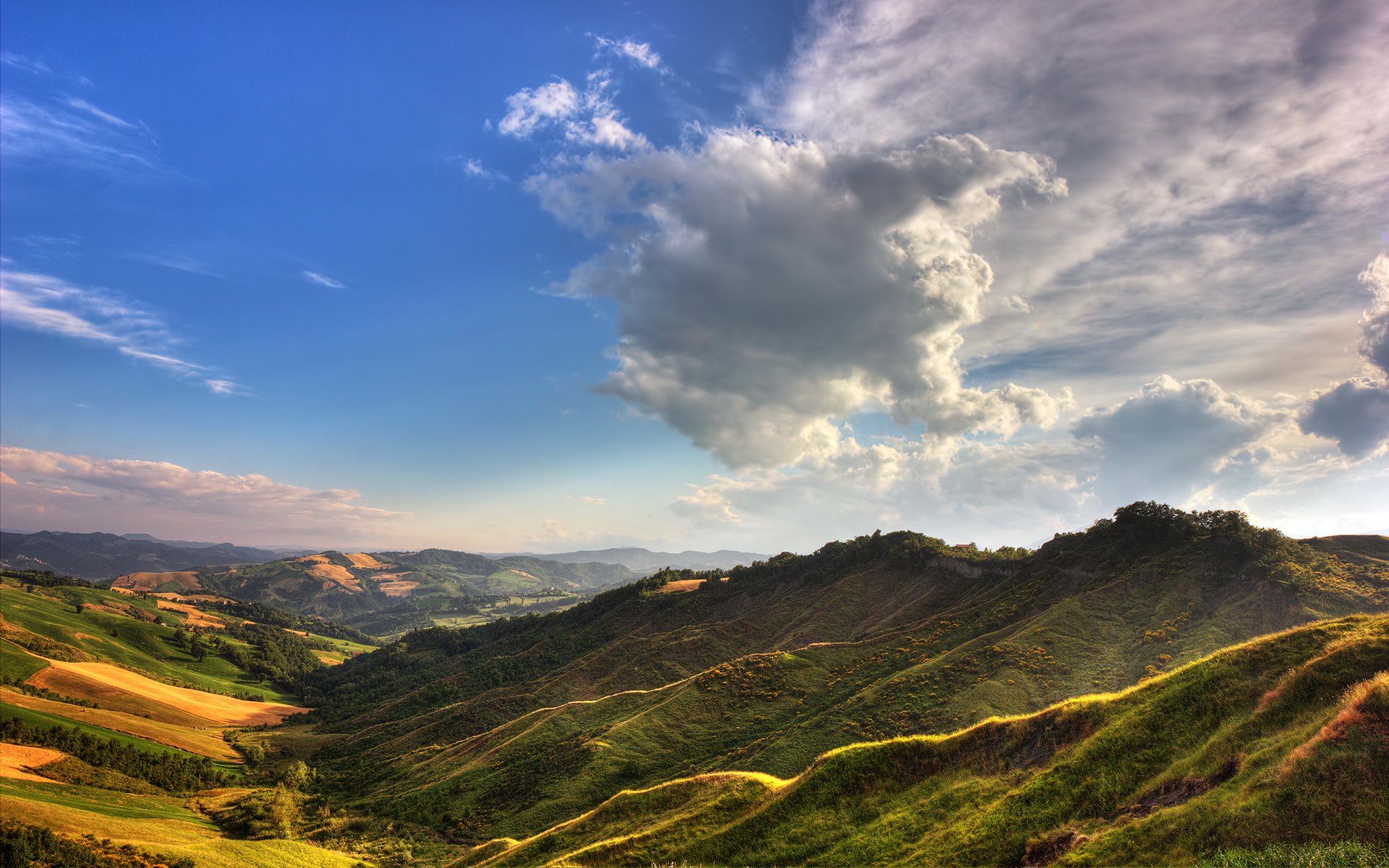 889995 Wallpapers HD / Desktop and Mobile Backgrounds