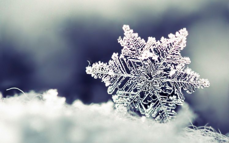 nature, Snowflakes HD Wallpaper Desktop Background
