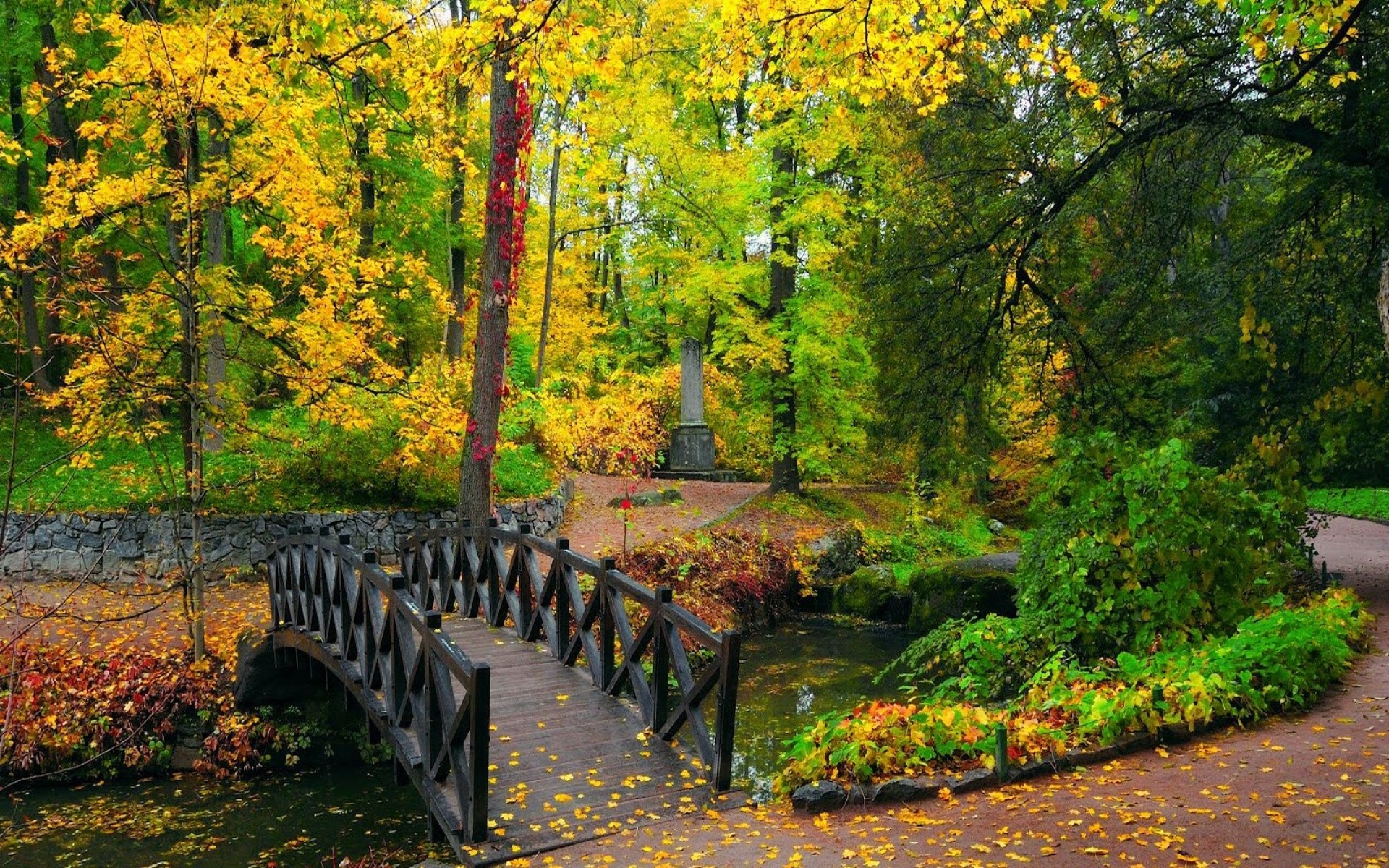 forest, Trees, Nature, Landscape, Tree, Autumn Wallpapers HD / Desktop