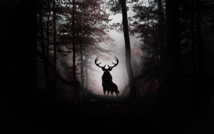 forest, Trees, Nature, Landscape, Tree, Deer, Art, Fantasy, Artwork HD Wallpaper Desktop Background