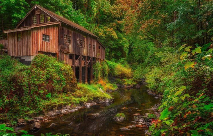 forest, Trees, Nature, Landscape, Tree, Autumn, Mill, River HD Wallpaper Desktop Background
