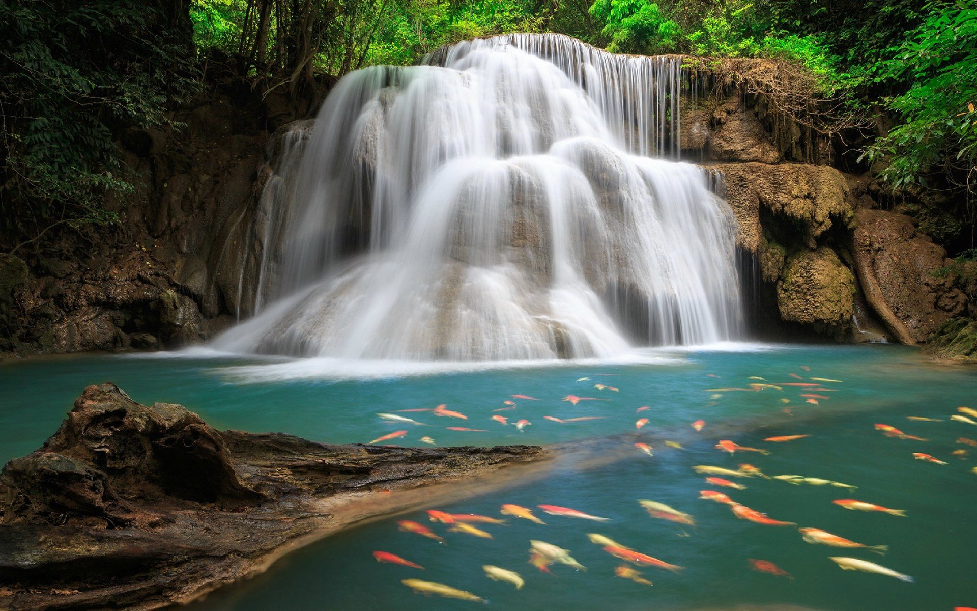 waterfall, Nature, River, Landscape Wallpaper