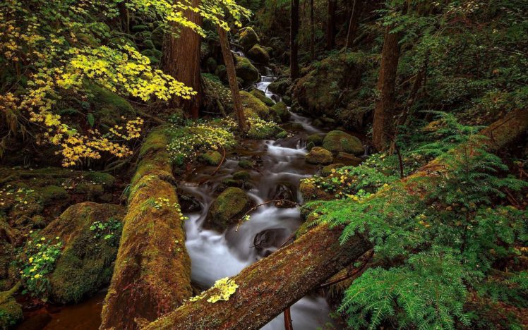 nature, River, Landscape HD Wallpaper Desktop Background