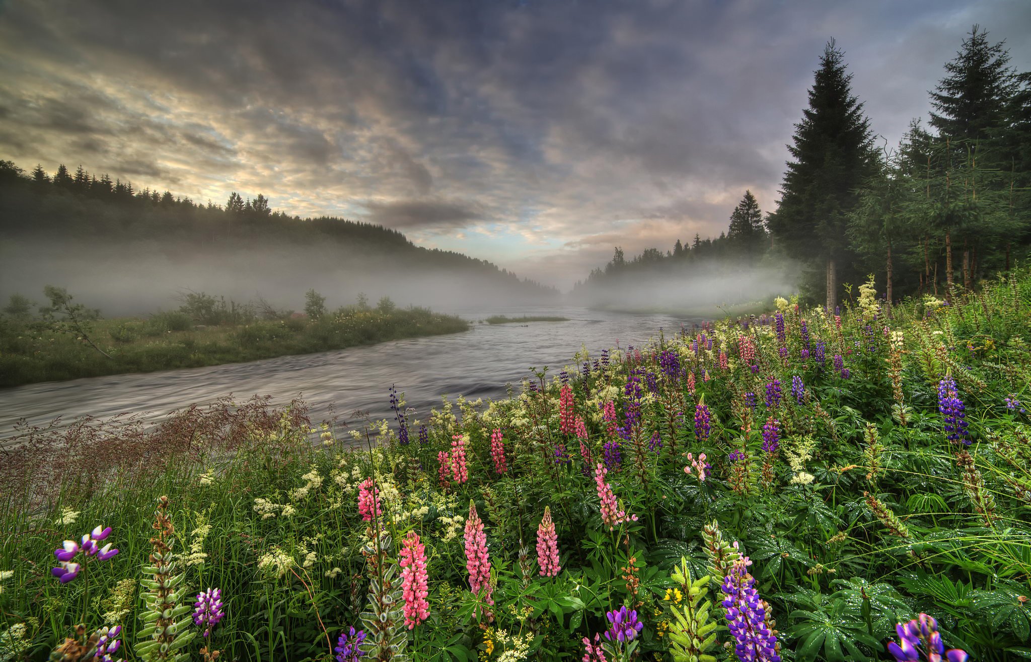 nature, River, Landscape Wallpaper
