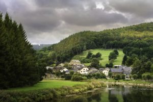 belgium, Scenery, Houses, Forests, Rivers, Fir, Namur, Cities