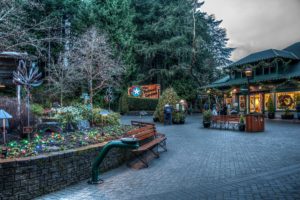 canada, Parks, Houses, Christmas, Bench, Fairy, Lights, Butchart, Gardens, Nature, Cities