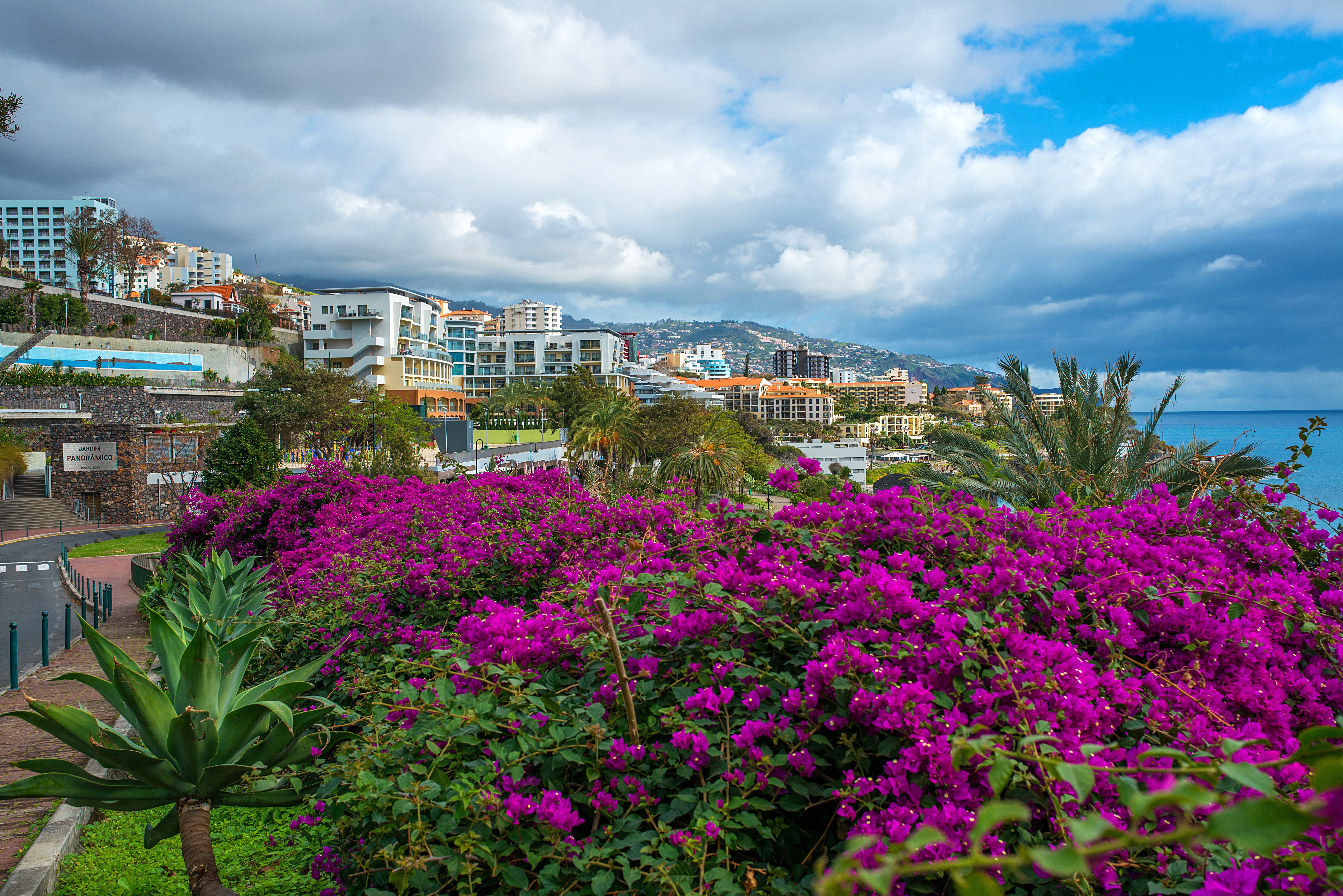 portugal, Houses, Bougainvillea, Clouds, Funchal, Madeira, Island, Cities Wallpaper