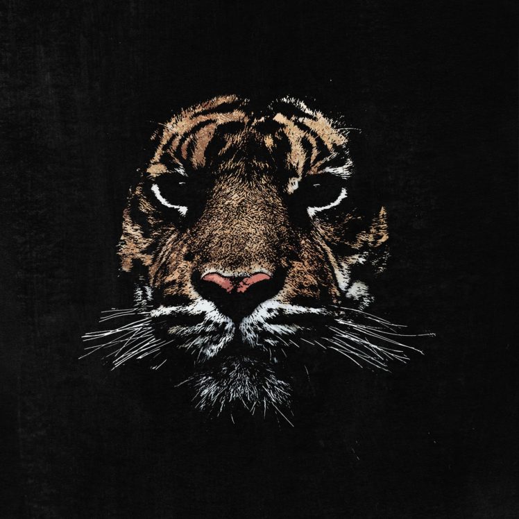 big, Cats, Jaguar, Painting, Art, Snout, Animals HD Wallpaper Desktop Background