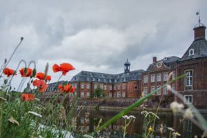 rivers, Poppies, Houses, Cities, Flowers