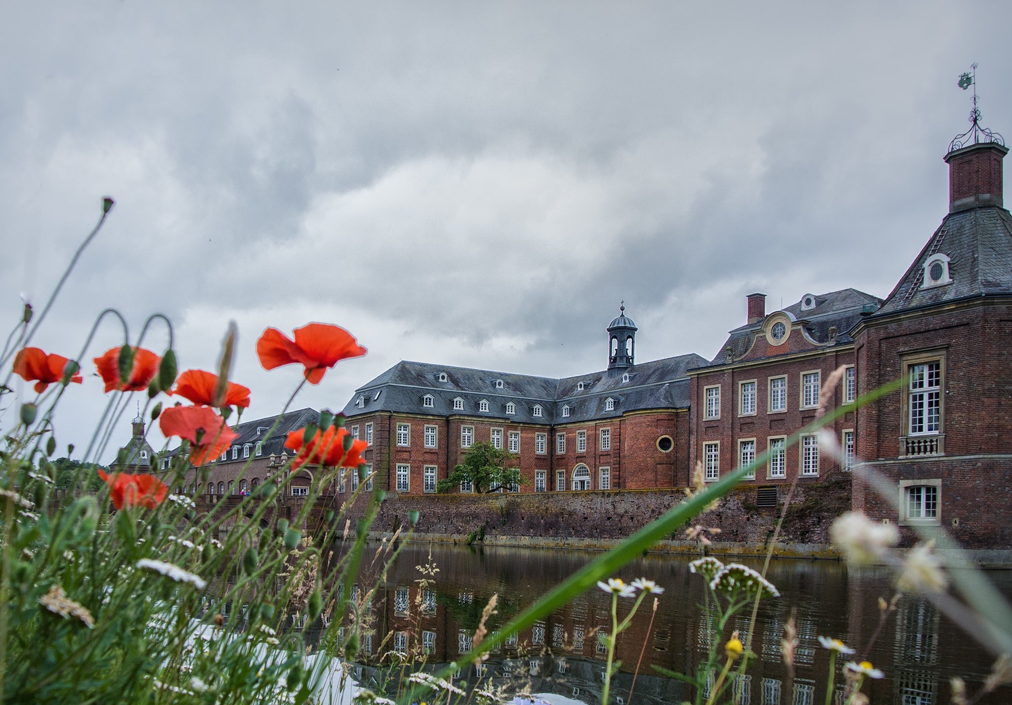 rivers, Poppies, Houses, Cities, Flowers Wallpaper