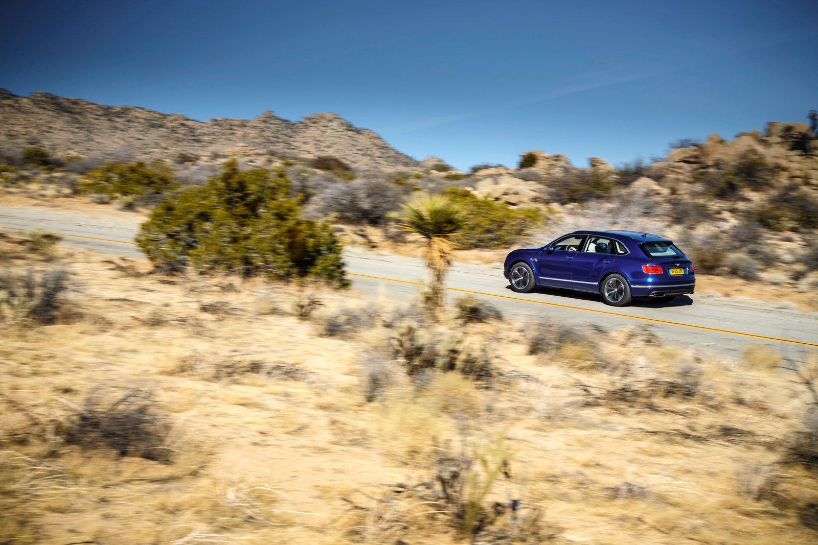 2016, Bentley, Bentayga, Cars, Suv, Blue Wallpaper