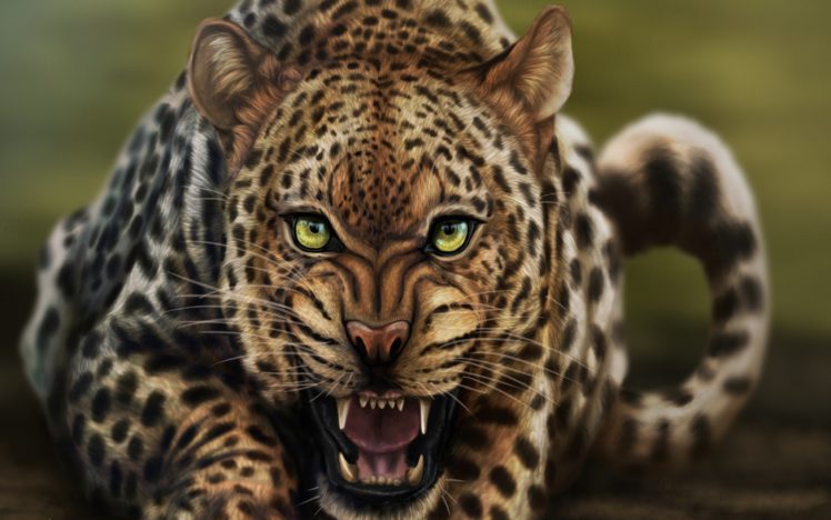 beauty, Cute, Amazing, Animal, Angry, Wild, Leopard, Animal HD Wallpaper Desktop Background